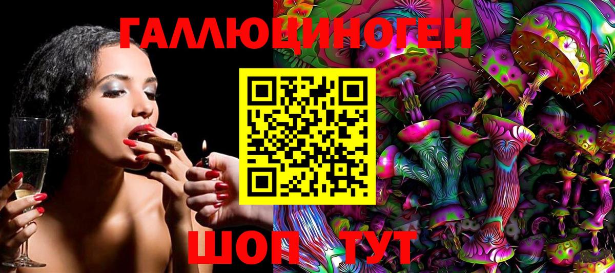 Галлюциногенные грибы MAGIC MUSHROOMS  Вход с VPN  Сунжа 