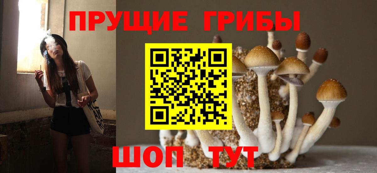 Галлюциногенные грибы прущие грибы Сунжа